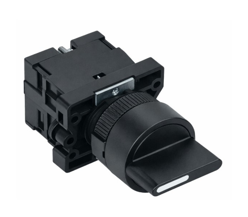 Rotary Switch