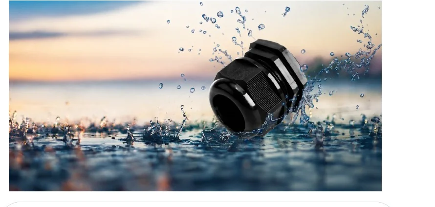 Cable Gland